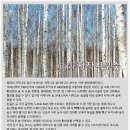 안성이마트레드페이스