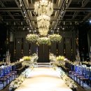 라온제나 이미지