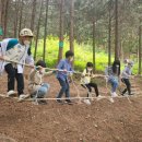 두동편백 이미지