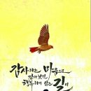 행복꽃