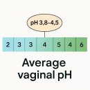 더좋은약국 | 질염 질정 찌꺼기 임산부 생리중 약국 질정제 써본 후기 더 좋은 방법도 추천