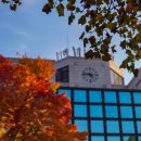 고대안경 이미지