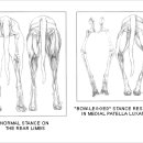 청안동물병원 이미지