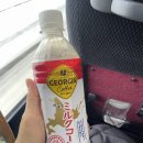 F37 | 삿포로 비에이/후라노 버스투어 후기 - 크리스마스트리🌲, 탁신관, 흰수염폭포💦, 닝구르테라스, 비에이역...