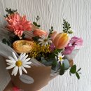 보태니컬 플랜(Botanical Plan)