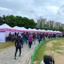 수리동주민센터 | 2024년 군포 철쭉축제 애견동반 정보 주차 가는방법 프로그램 일정 등 정보 공유(+4월21일 방문)