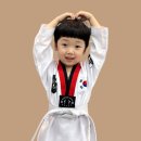 품위 태권도장 네이버블로그