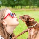 사람과애견 이미지