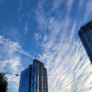 신사역 5번출구 앞 이미지