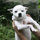 복길