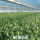 동덕1리 이미지