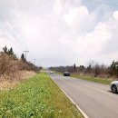 서귀포세화솔라 발전소 | 표선 녹산로, 절물 휴양림, 세화 해변, 김녕 해변.