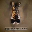 미스터지브라