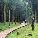 절물생태관리소 (절물자연휴양림) 이미지