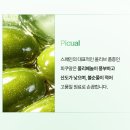 [공지] [OPEN] 저속노화 10년삭제 올베샷 오픈/폴리페놀 폭탄/올리브오일/올레샷말고 이제 올베샷...