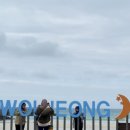 스테이 달 ring 이미지