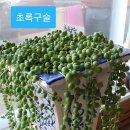 웃말농장 이미지