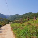 산골물굽이길 이미지