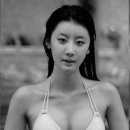 더디어 Daum카페