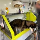 향기롭개 이미지