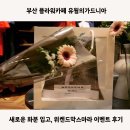 유월의 가드니아 | 부산 플라워카페 유월의가드니아 위켄드 막스마라 후기, 새로운 화분 입고