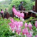 (주)대아환경 이미지