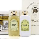 프리지아A 이미지