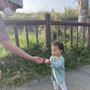 하예동-7 이미지