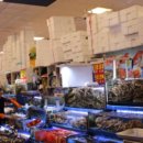 쌍둥이 수산 이미지