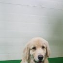 팔탄파출소 이미지