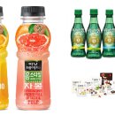 피크닉 이미지
