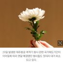 제야의 종은 왜 33번 울릴까요 이미지