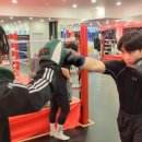 대방복싱 이미지