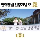 소문켄넬 이미지