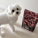 마스터 | 진짜 ‘생육 사료’ 벨칸도 마스터크래프트 내돈내산 후기