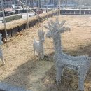 비금속물질 채취  제조  가공업 이미지