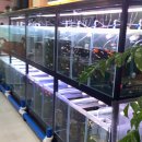 연이슈퍼 이미지