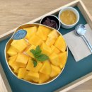 벳내린 | 제주 애플망고빙수 맛집 벳내린 내돈내산 직접 키운 달달한 애플망고 가득