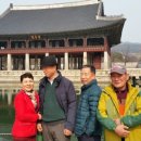 화개초교 이미지