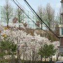 생어거스틴 | 사당역 주차 편한 맛집 파스텔시티 생어거스틴 쌀국수와 쏨땀 솔직후기