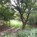 산척면사무소 이미지