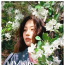 HYNN(박혜원) 전국투어(HYNN FOREST) 마이데일리