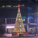 이칠농장 | 중앙시장 일반 셀러와 당근 셀러가 함께 하는 미로 &amp; 동행마켓 다녀온 후기 체험 쿠폰 이벤트 및 공연 정보