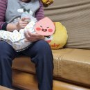 ( A )금줄산모도우미
