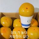 꿀 단감.로망.태추5kg20과 판매 이미지