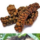 자바유통