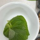 성북-종암-1315 | <호호곱창> 종암동 곱창 막창 맛집 | 10년 단골 내돈내산 성북구 맛집 추천