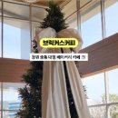 브릭커스 이미지