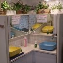 사상제일요양병원매점 | 부산 사상에 아이랑 가기 좋은 체험 카페 헬로 밀가루 방문 후기