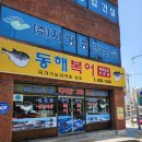 동해복어 | 대구 복어불고기 맛집 ‘동해복어’ 내돈내산 후기 l 통통한 복어살+볶음밥까지 완벽한 한끼!